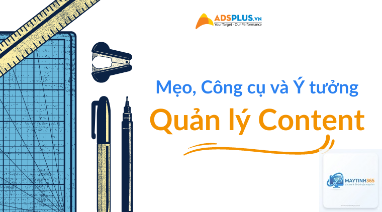 cách quản lý content search