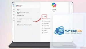 cách quản lý copilot trong windows 11
