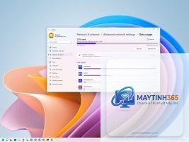 cách quản lý data usage windows 11 - Hình 4