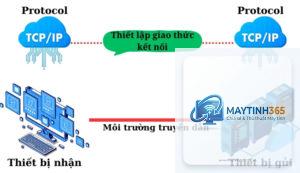 cách quản lý giao thức mạng
