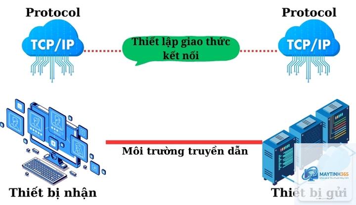 cách quản lý giao thức mạng