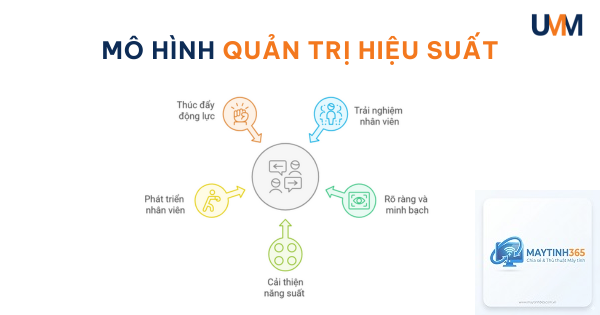 cách quản lý hiệu suất chuyên sâu - Hình 3