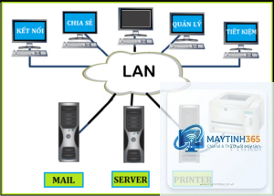 cách quản lý kết nối lan