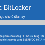 cách quản lý khóa khôi phục