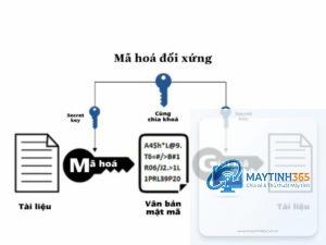 cách quản lý mã hóa dữ liệu