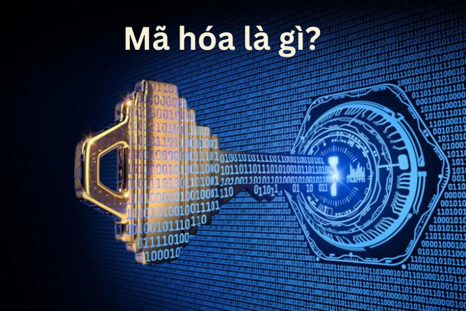 cách quản lý mã hóa dữ liệu - Hình 5