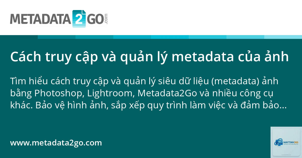 cách quản lý metadata file - Hình 2