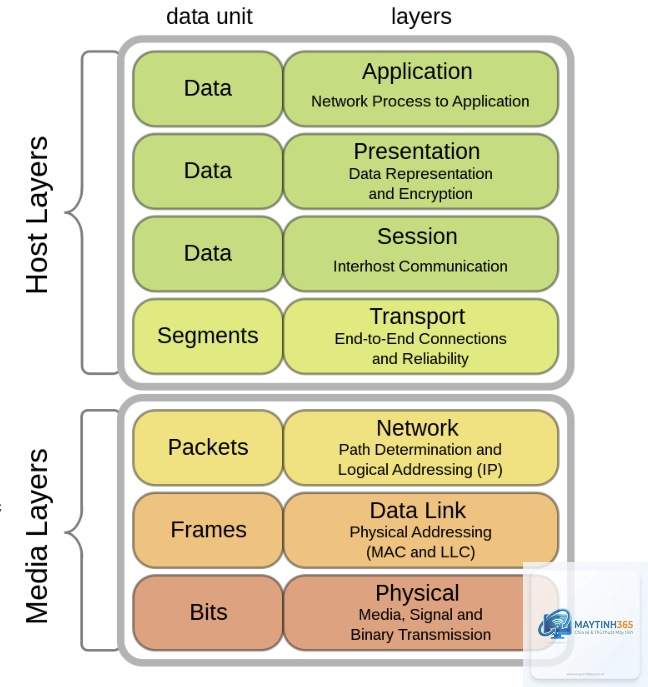 cách quản lý network information - Hình 3