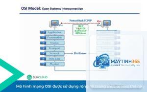 cách quản lý network information