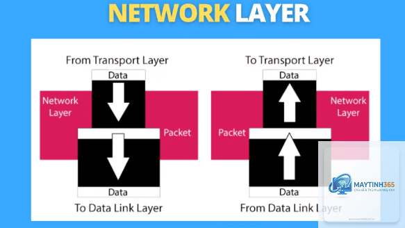 cách quản lý network information - Hình 5
