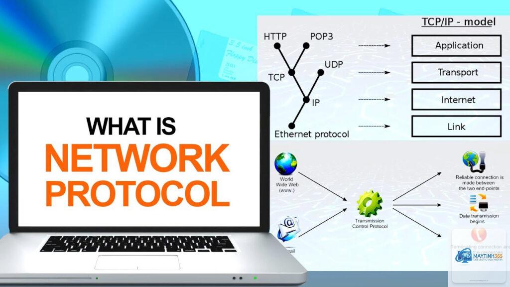 cách quản lý network protocol