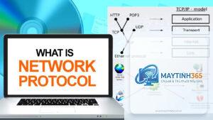 cách quản lý network protocol