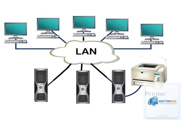 cách quản lý nhiều máy in