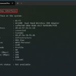 cách quản lý nhiều network profile