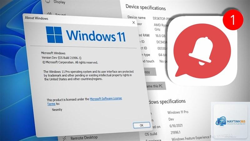cách quản lý notifications windows 11 - Hình 4