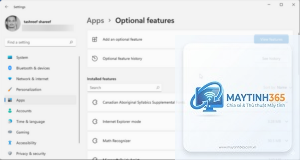 cách quản lý optional features