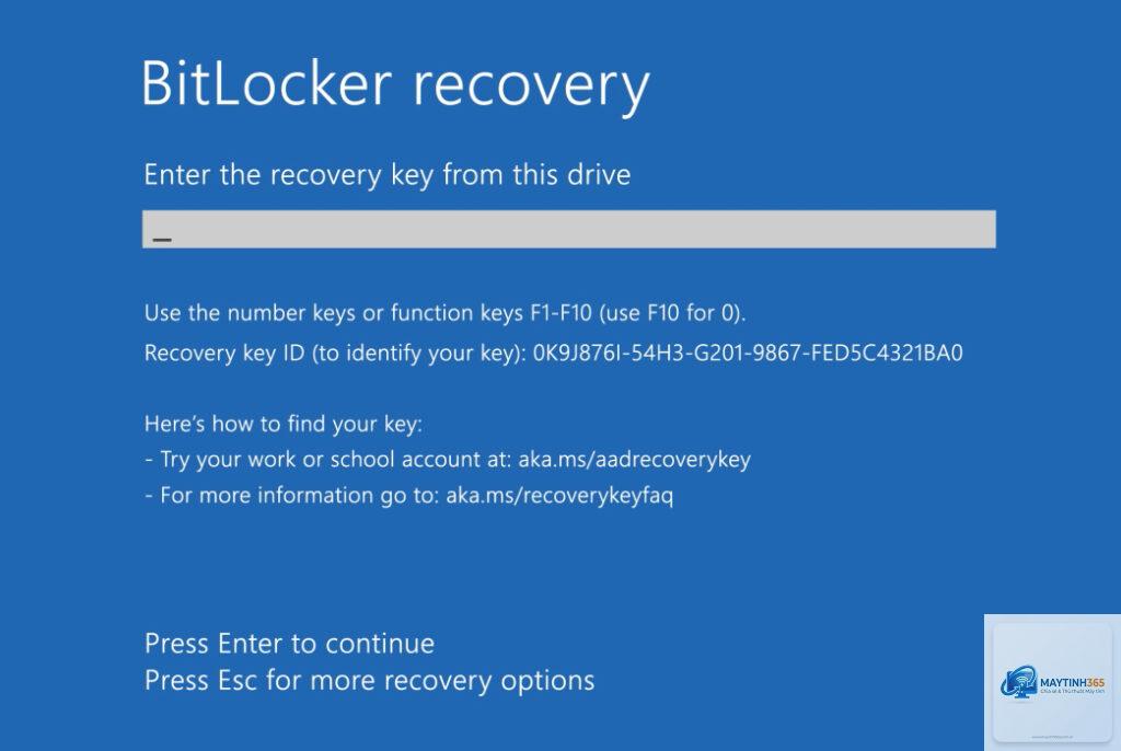 cách quản lý recovery key bitlocker