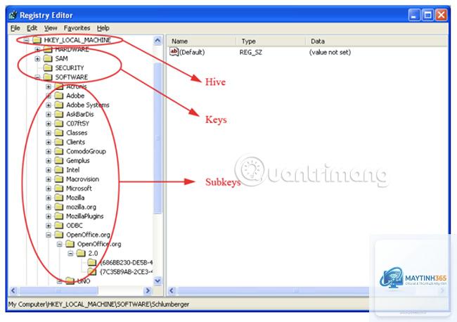 cách quản lý registry hive