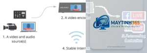cách quản lý streaming video