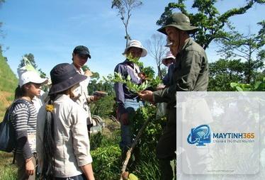 cách quản lý tài nguyên ứng dụng - Hình 5