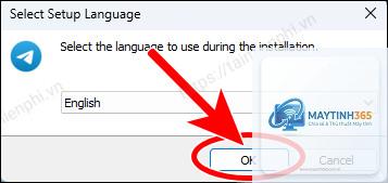 cách quản lý telegram trong windows 11 - Hình 3
