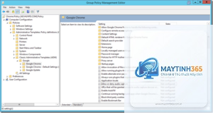 cách quản lý web browser policies