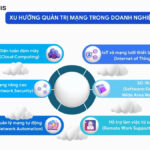 cách quản lý work network