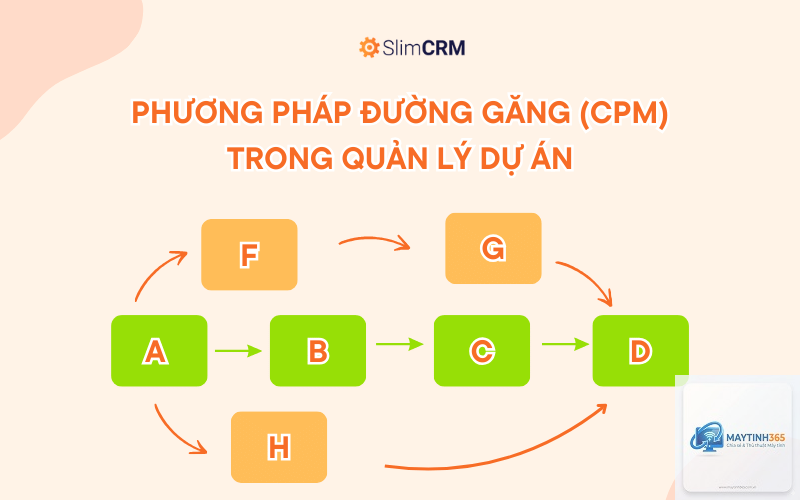 cách quản lý work network - Hình 2