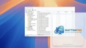 cách reset group policy windows 11