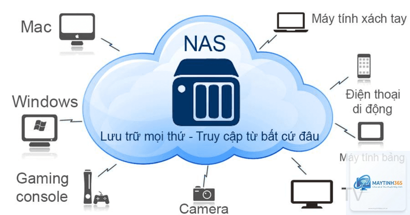 cách sao lưu dữ liệu hiệu suất - Hình 3
