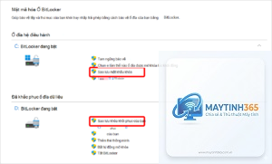 cách sao lưu khóa bitlocker