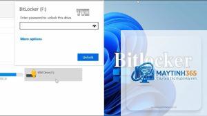 cách sử dụng bitlocker trên windows 11