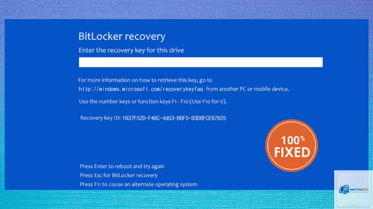 cách sử dụng bitlocker windows 11 - Hình 3