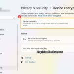 cách sử dụng device encryption
