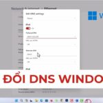 cách sử dụng dns google trên windows 11