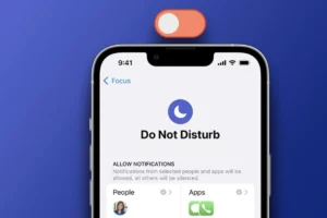 cách sử dụng do not disturb