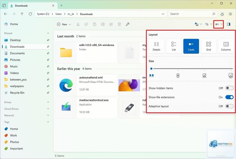 cách sử dụng file explorer windows 11 - Hình 5