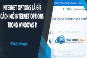 cách sử dụng internet options