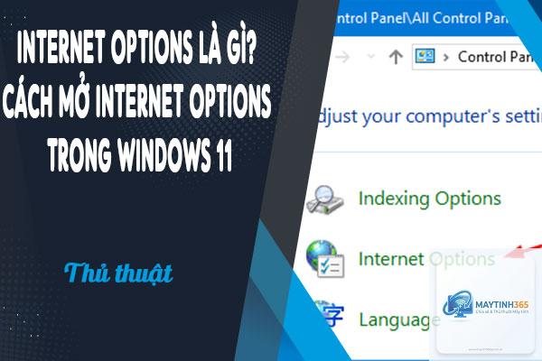 cách sử dụng internet options