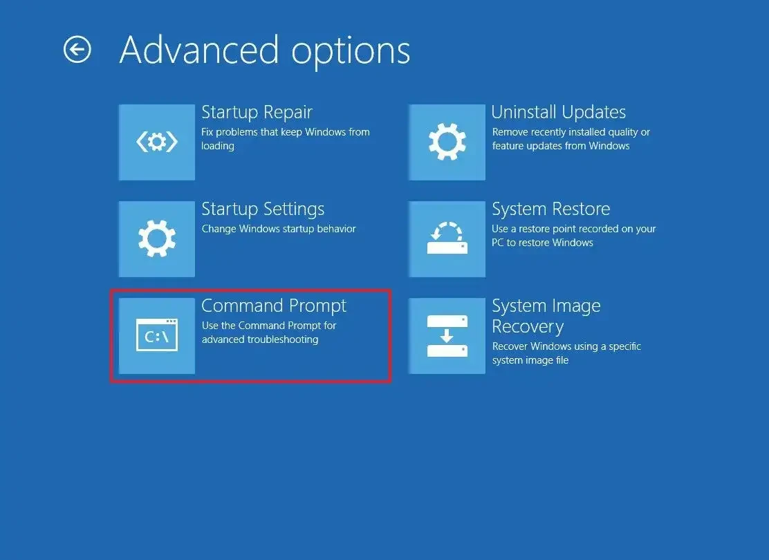 cách sử dụng mbr windows 11 - Hình 5