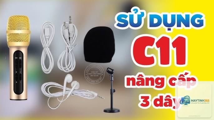 cách sử dụng microphone nâng cao - Hình 2