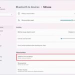 Cách sử dụng Mouse Settings Windows 11: Hướng dẫn chi tiết từ A đến Z cho người mới bắt đầu cách sử dụng mouse settings windows 11