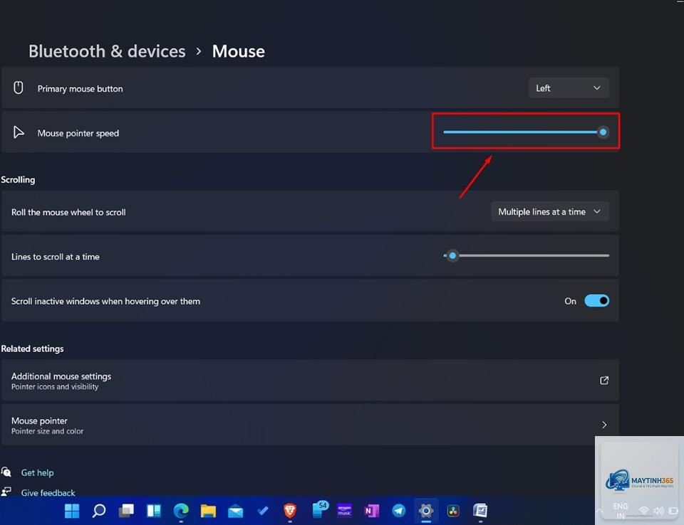 cách sử dụng mouse settings windows 11 - Hình 3
