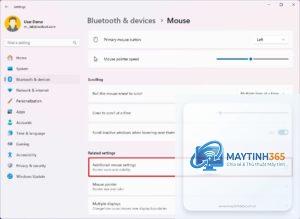 cách sử dụng mouse settings windows 11
