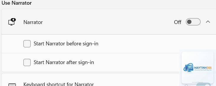 cách sử dụng narrator windows 11 - Hình 3
