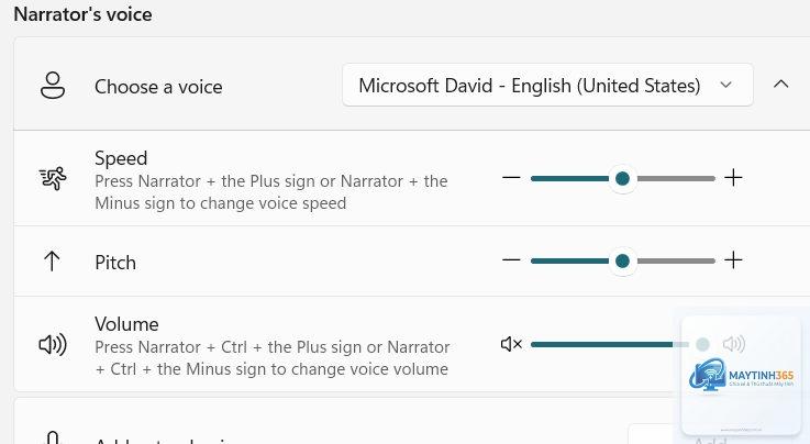 cách sử dụng narrator windows 11 - Hình 5