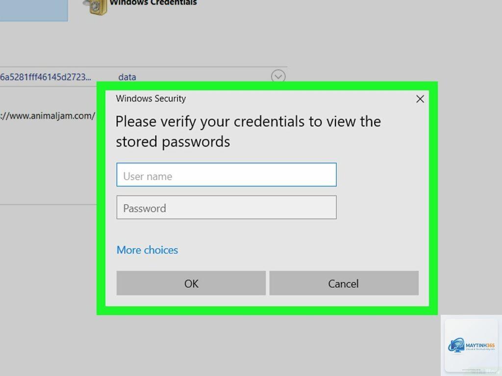 cách sử dụng password manager windows