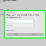 cách sử dụng password manager windows