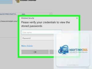 cách sử dụng password manager windows