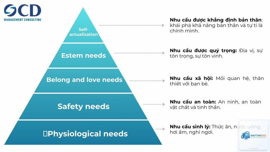 cách sử dụng policy hierarchy